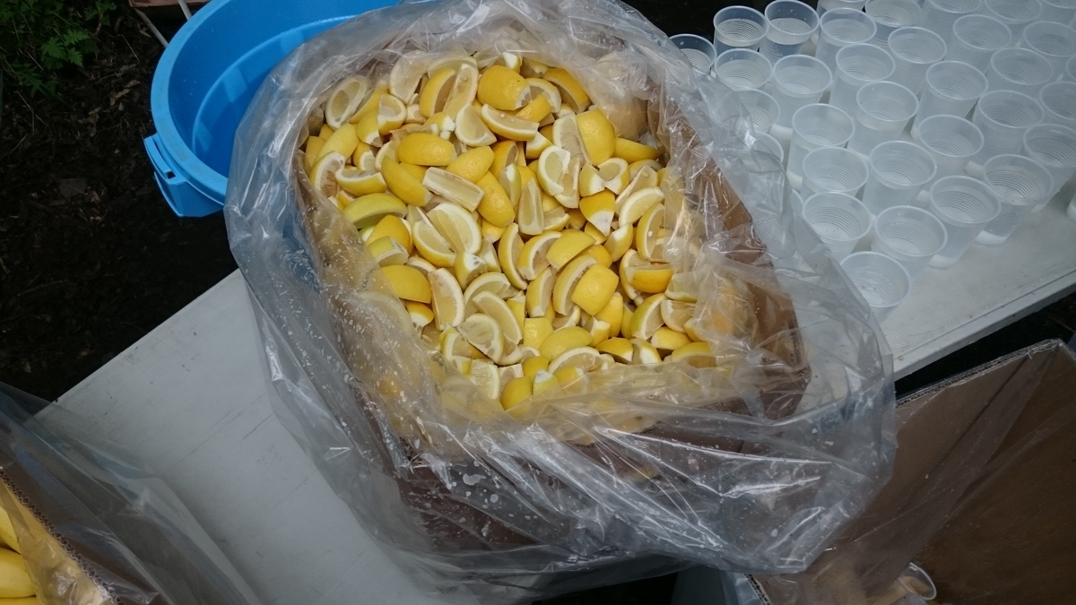 f:id:savarun:20190731200357j:plain