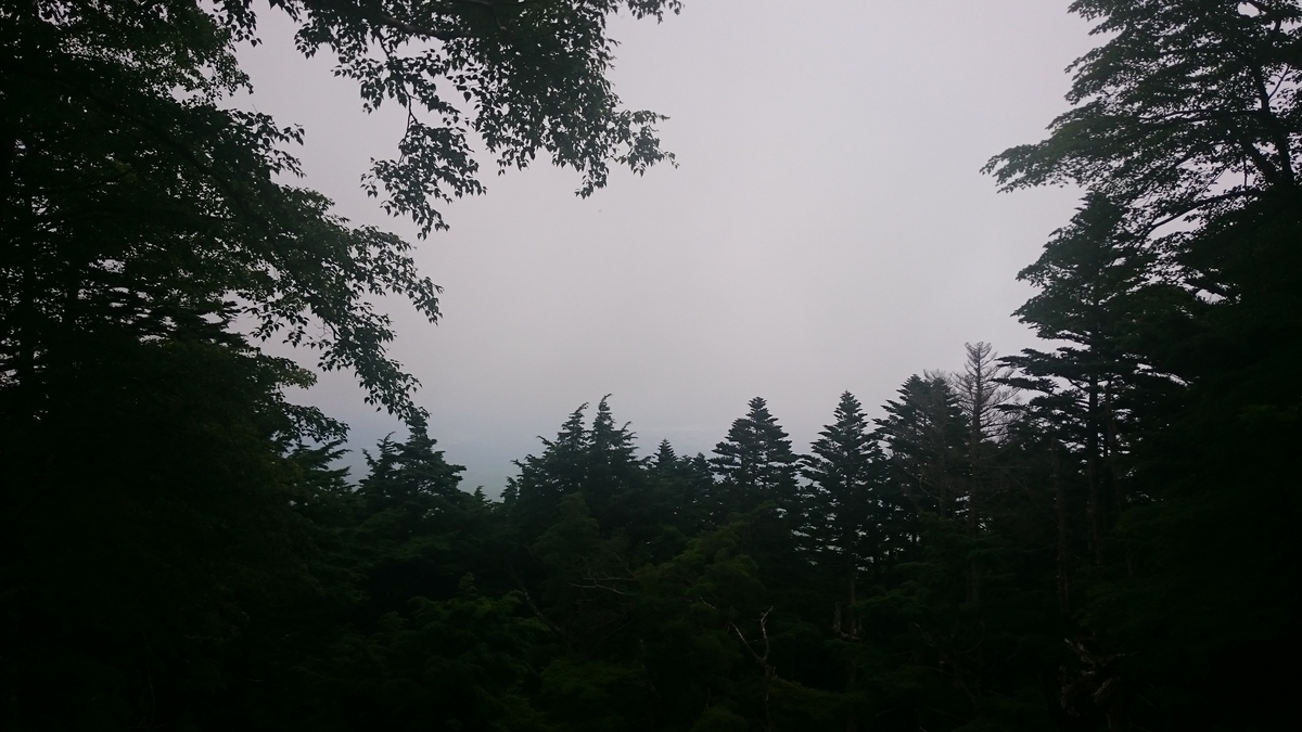 f:id:savarun:20190731200626j:plain