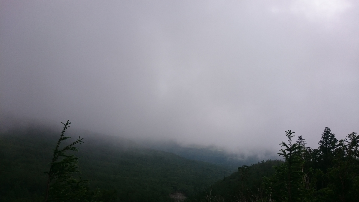 f:id:savarun:20190731200803j:plain