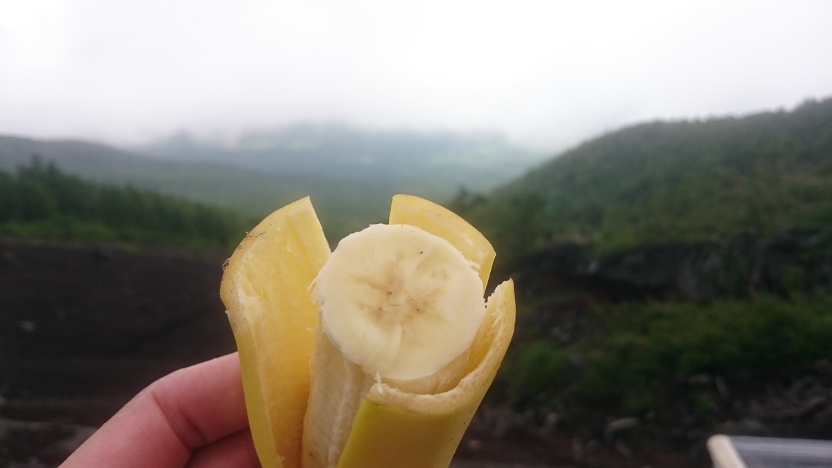 f:id:savarun:20190731200932j:plain