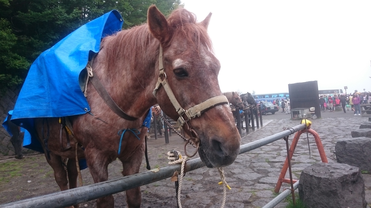 f:id:savarun:20190731201122j:plain