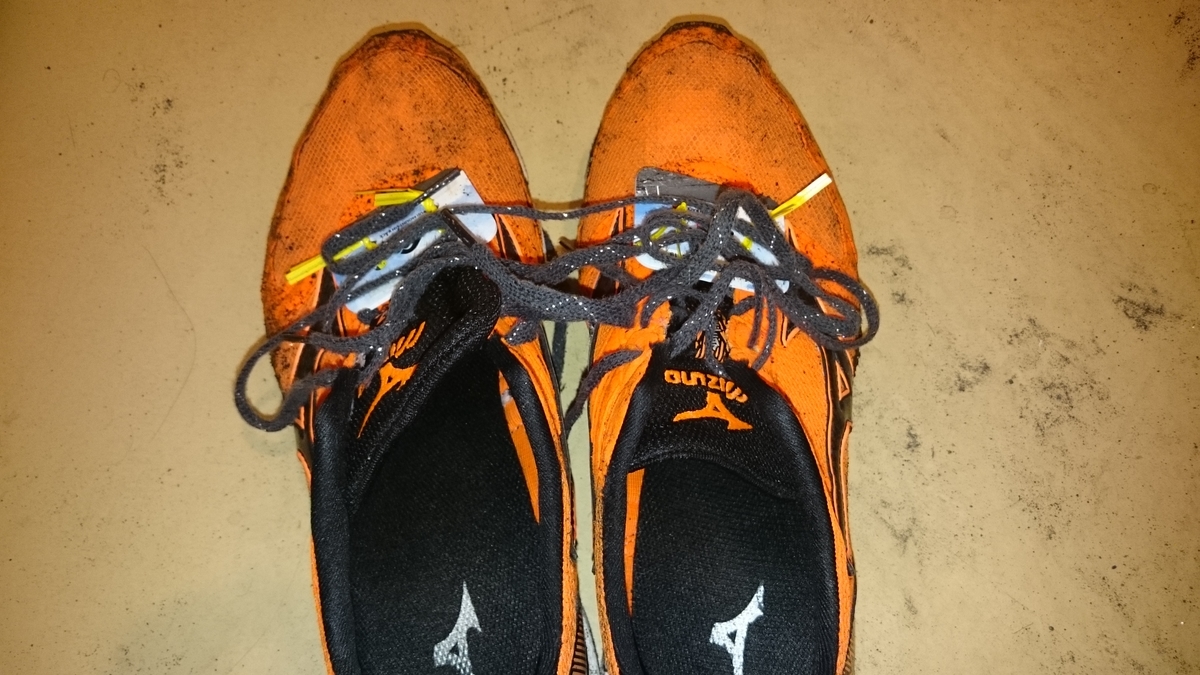 f:id:savarun:20190731201832j:plain