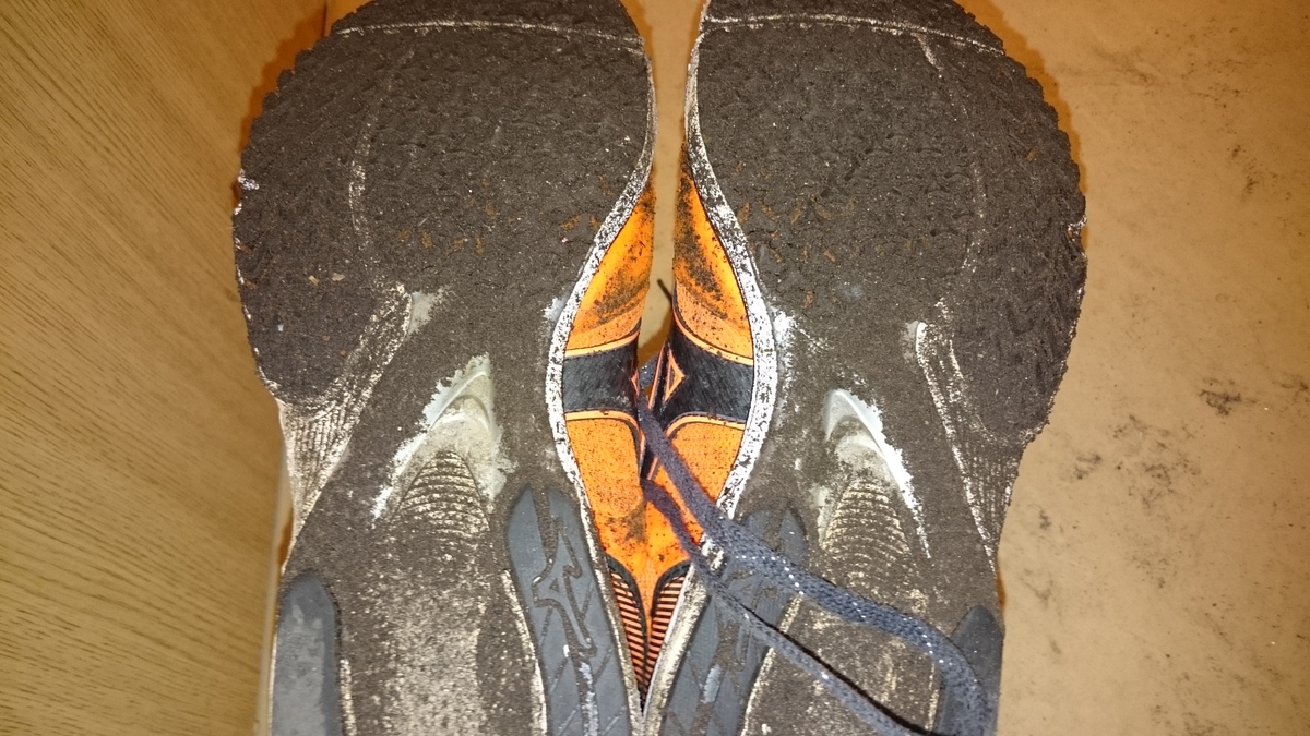 f:id:savarun:20190731201914j:plain