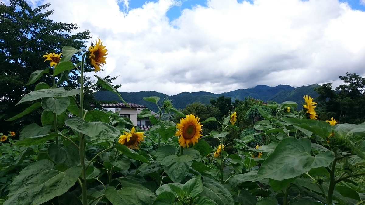 f:id:savarun:20190731204607j:plain