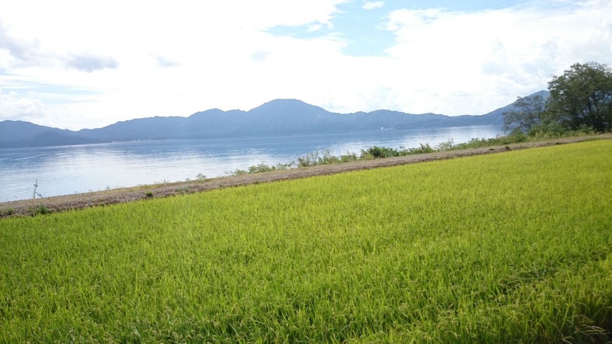 f:id:savarun:20190805223024j:plain