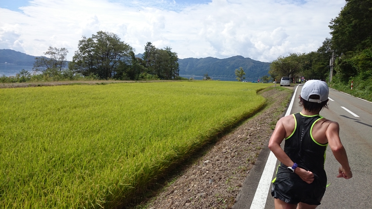 f:id:savarun:20190805223113j:plain