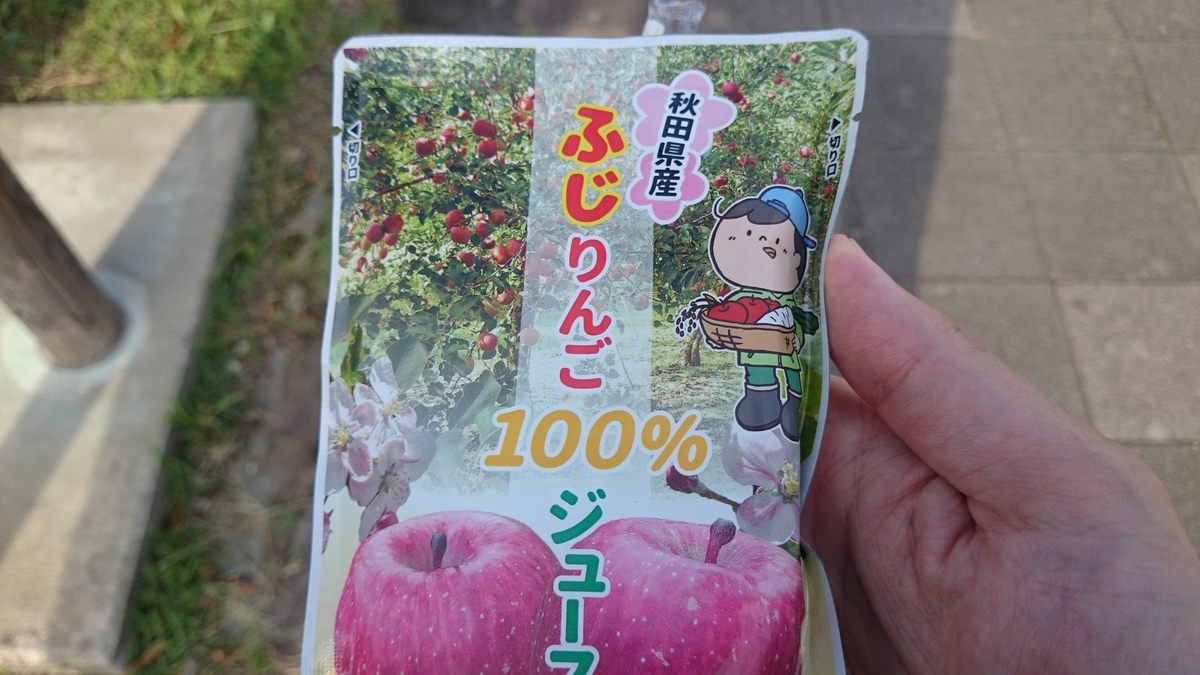 f:id:savarun:20190805225149j:plain