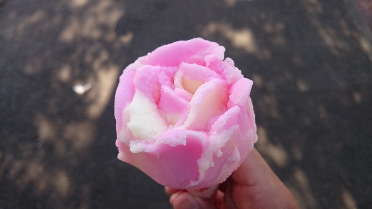 f:id:savarun:20190805225236j:plain