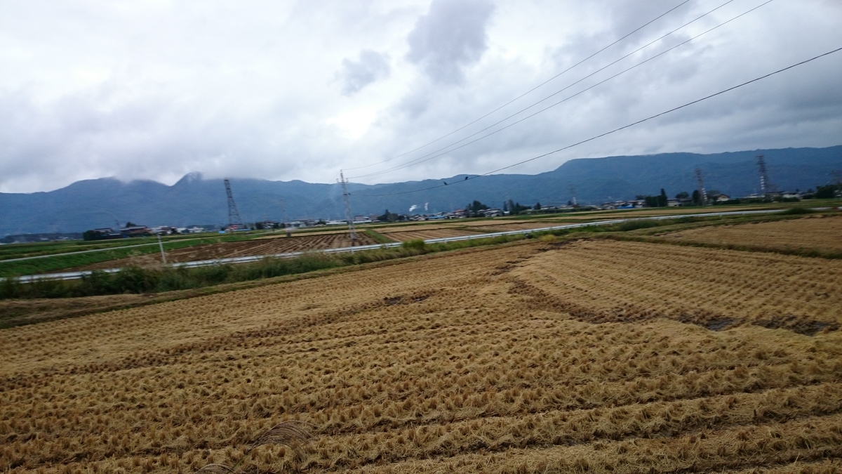 f:id:savarun:20190807200845j:plain