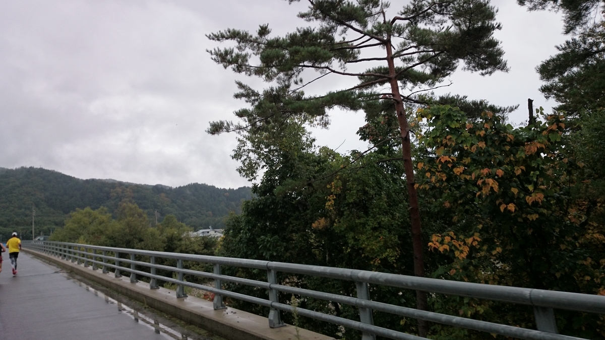 f:id:savarun:20190807201201j:plain