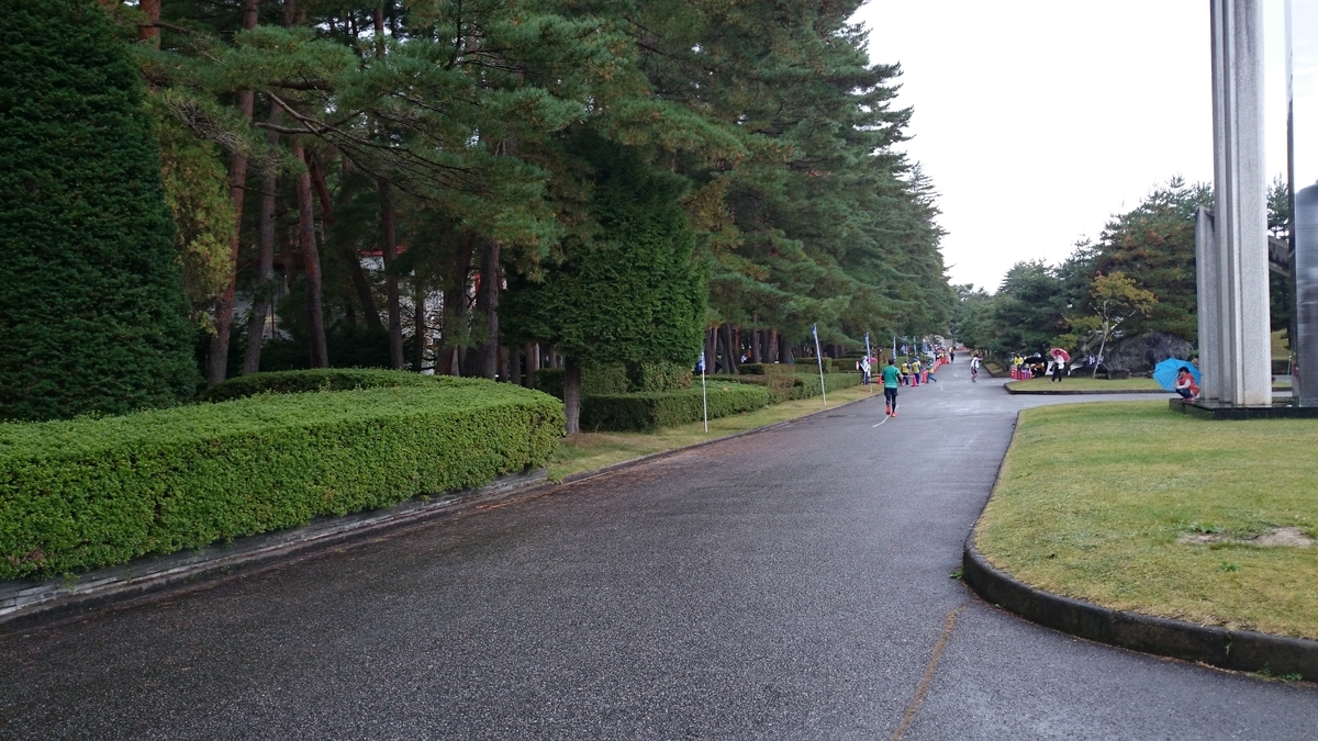 f:id:savarun:20190807201821j:plain