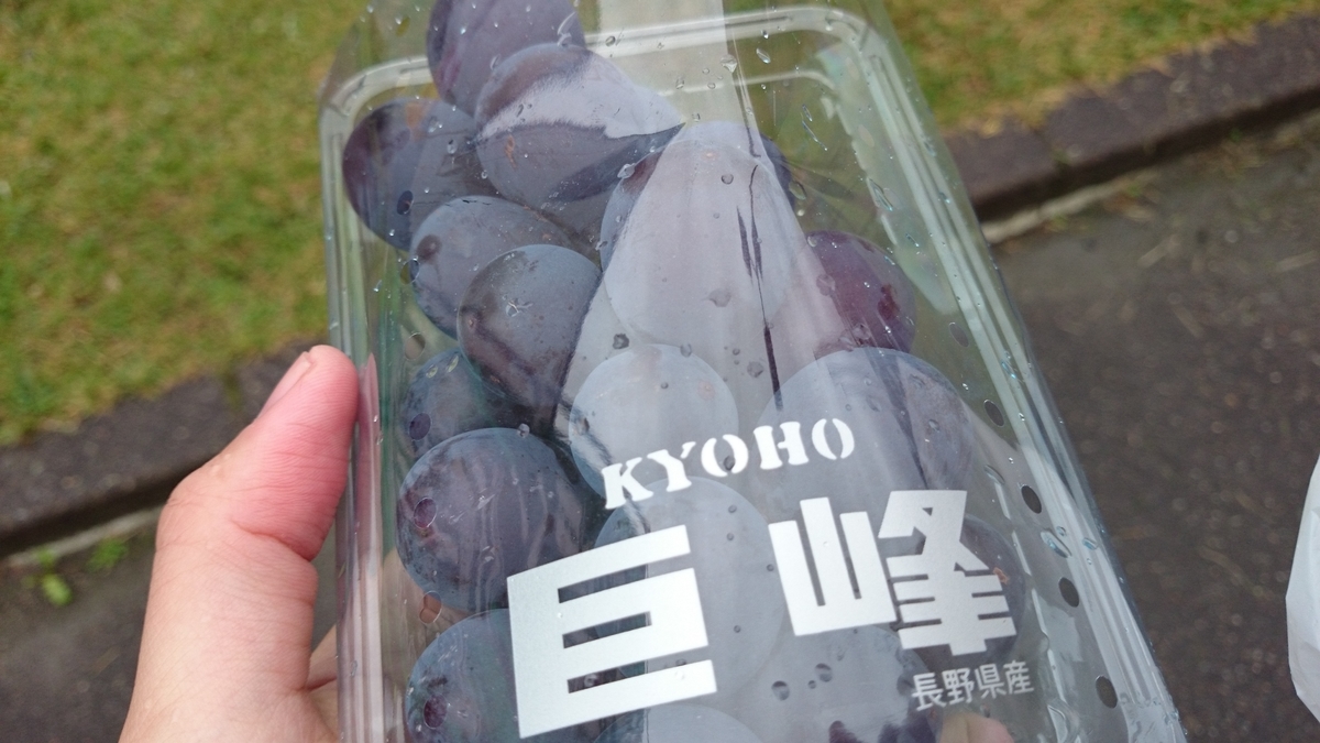 f:id:savarun:20190807202906j:plain