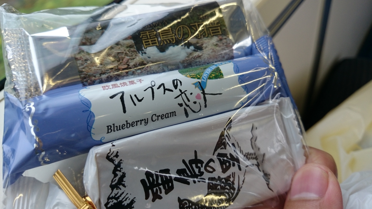 f:id:savarun:20190807203425j:plain