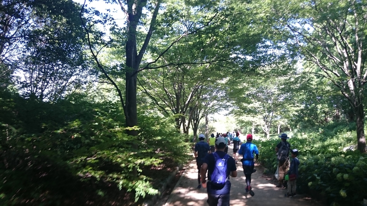 f:id:savarun:20190812123210j:plain f:id:savarun:20190812123210j:plain