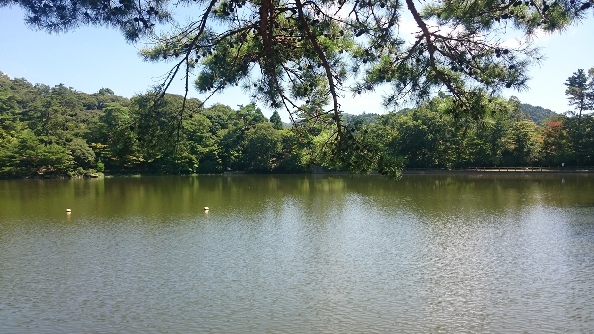 f:id:savarun:20190812123532j:plain f:id:savarun:20190812123532j:plain