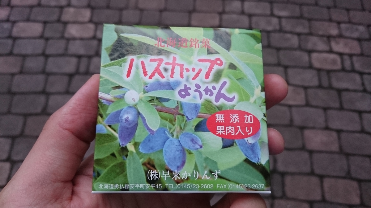 f:id:savarun:20190831123808j:plain