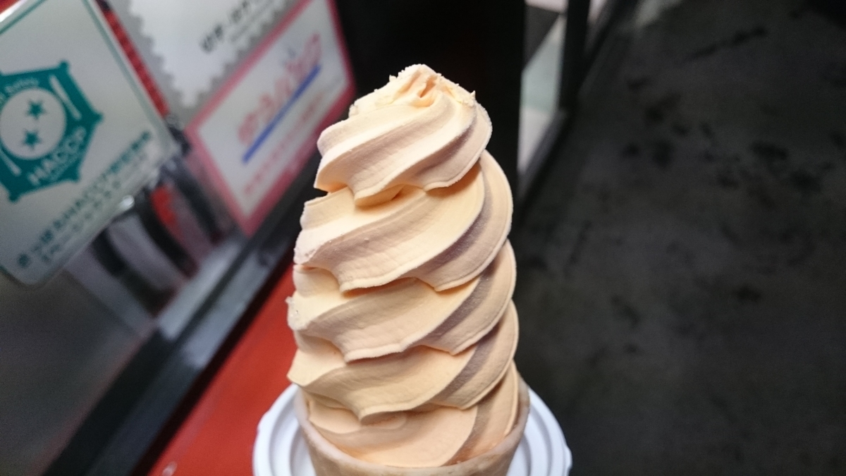 f:id:savarun:20190831141055j:plain