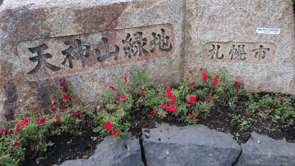 f:id:savarun:20190831142035j:plain