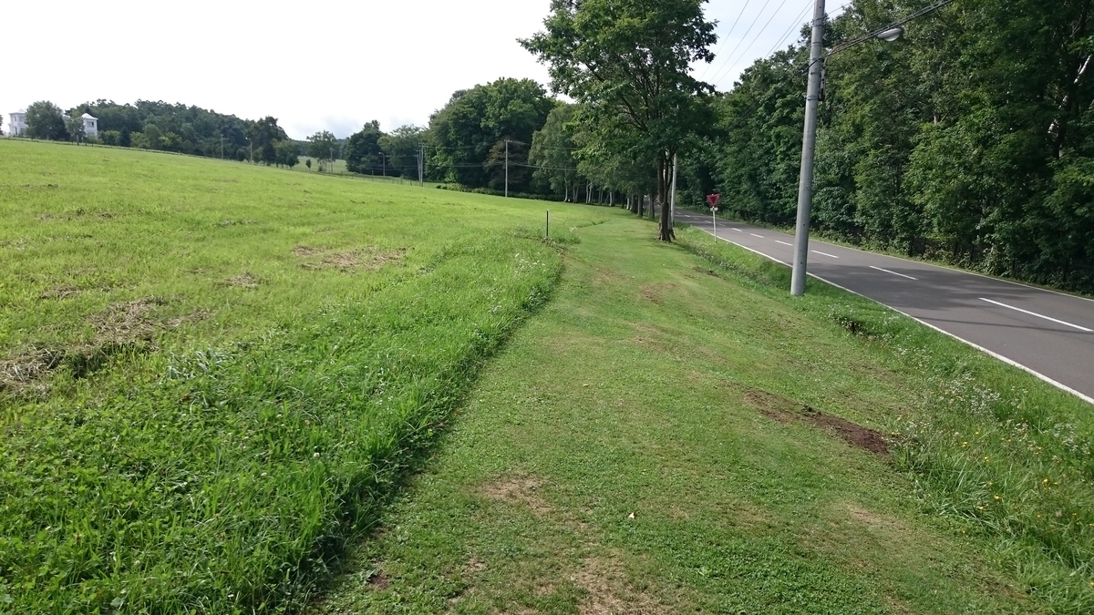 f:id:savarun:20190831142731j:plain
