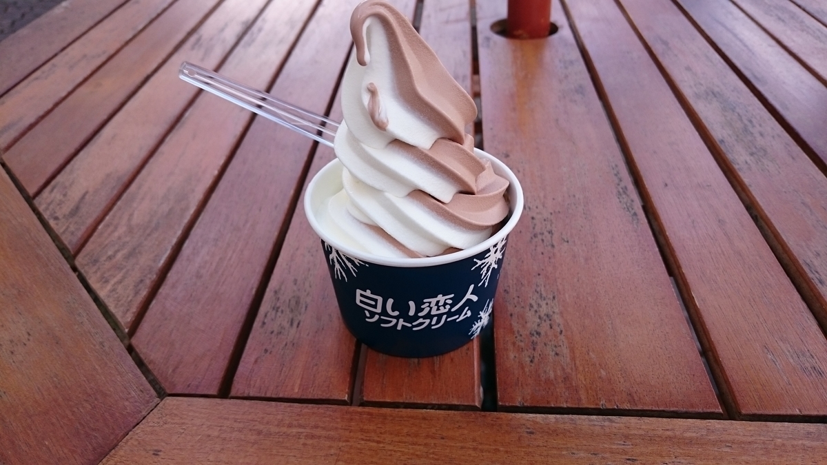 f:id:savarun:20190831145104j:plain
