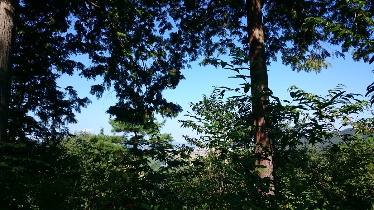 f:id:savarun:20190919231325j:plain f:id:savarun:20190919231325j:plain