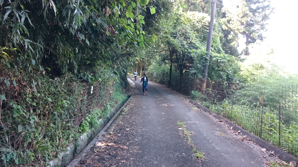 f:id:savarun:20190919232635j:plain f:id:savarun:20190919232635j:plain