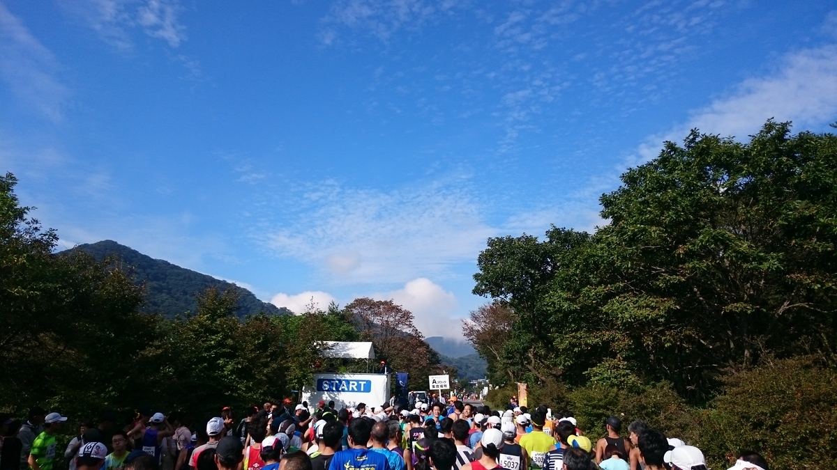 f:id:savarun:20191003205040j:plain f:id:savarun:20191003205040j:plain