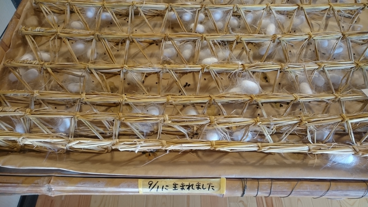 f:id:savarun:20191003213331j:plain f:id:savarun:20191003213331j:plain