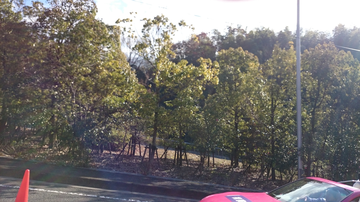 f:id:savarun:20191012011642j:plain f:id:savarun:20191012011642j:plain