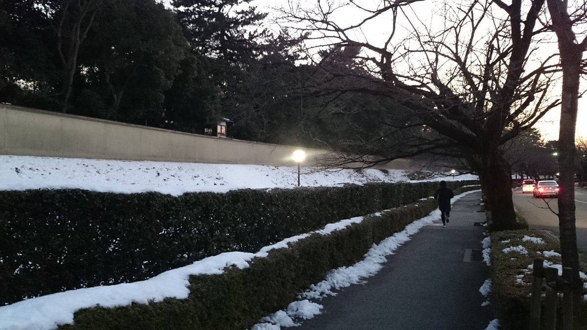 f:id:savarun:20191012120159j:plain