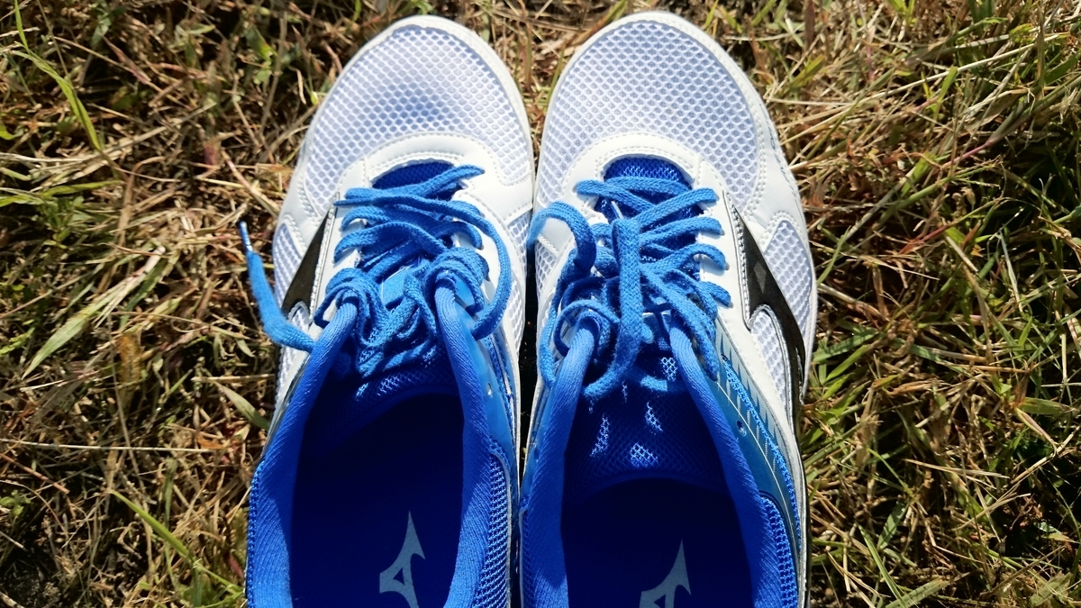 f:id:savarun:20191014152632j:plain