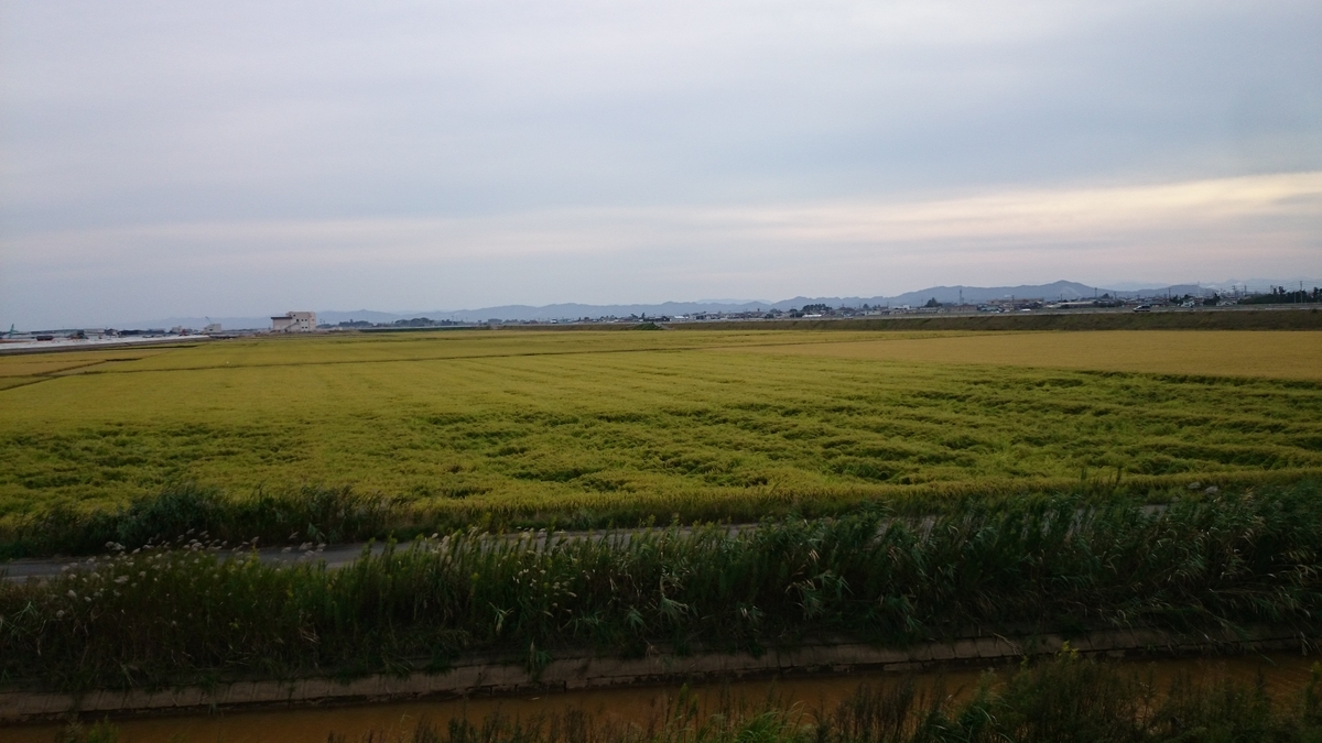 f:id:savarun:20191014165543j:plain