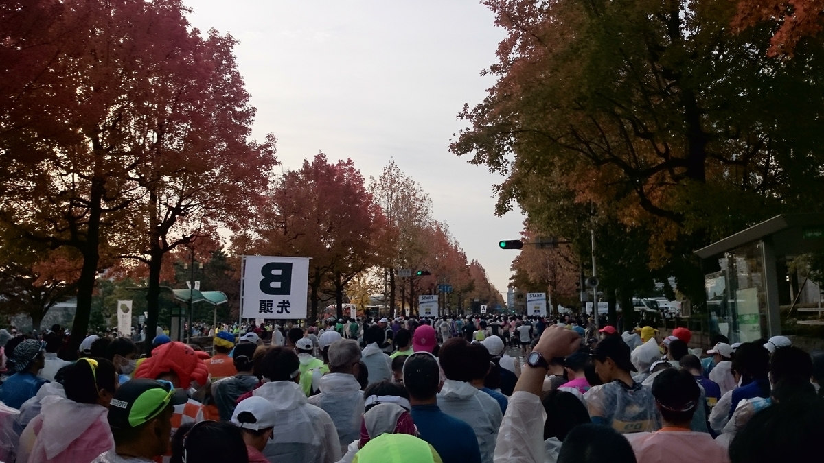 f:id:savarun:20191018221512j:plain f:id:savarun:20191018221512j:plain