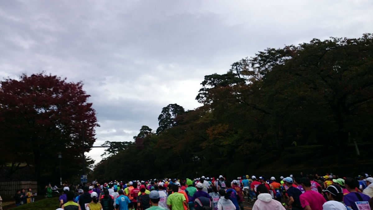 f:id:savarun:20191020130810j:plain