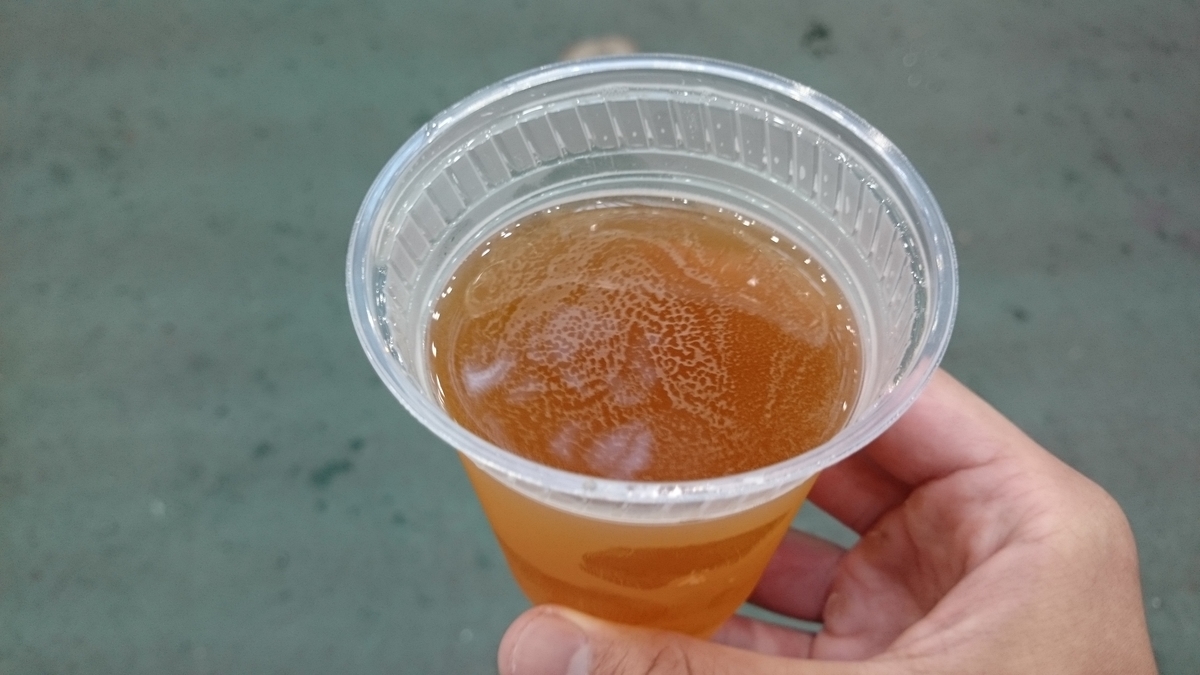 f:id:savarun:20191020133808j:plain