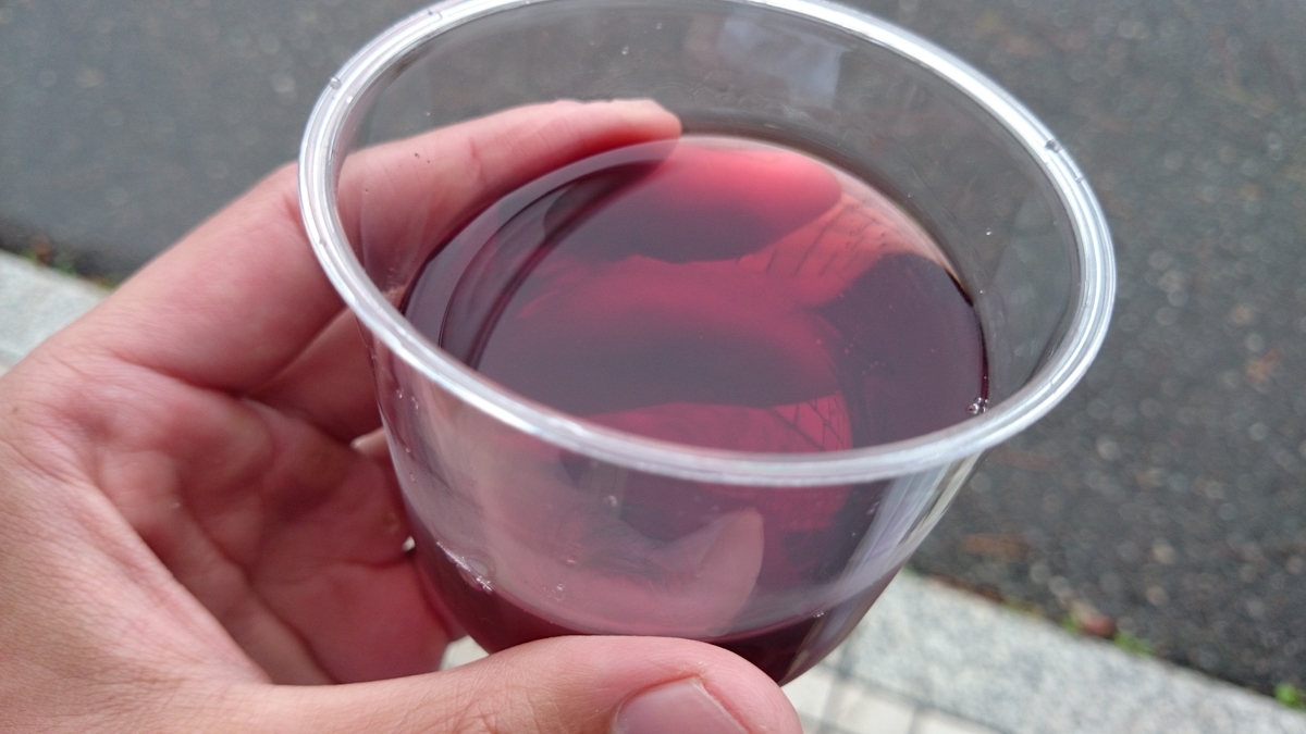 f:id:savarun:20191020133936j:plain