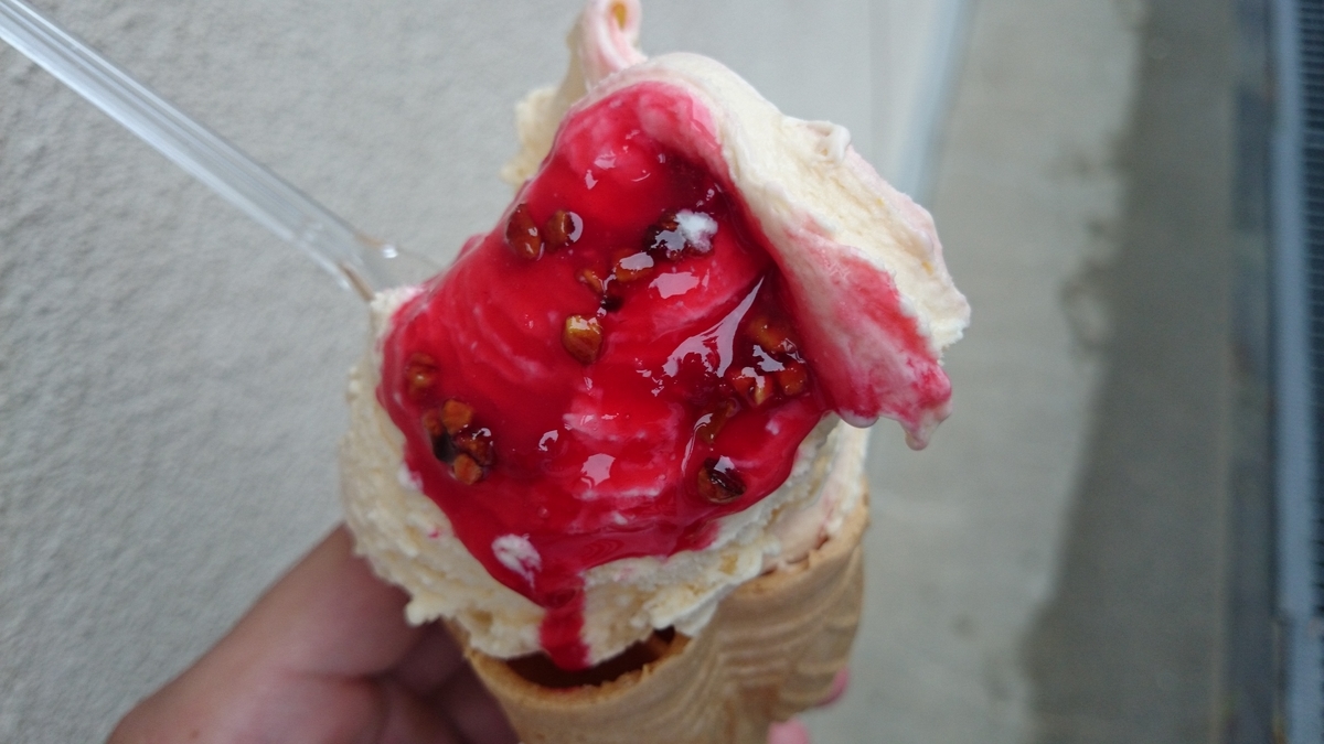 f:id:savarun:20191020134613j:plain