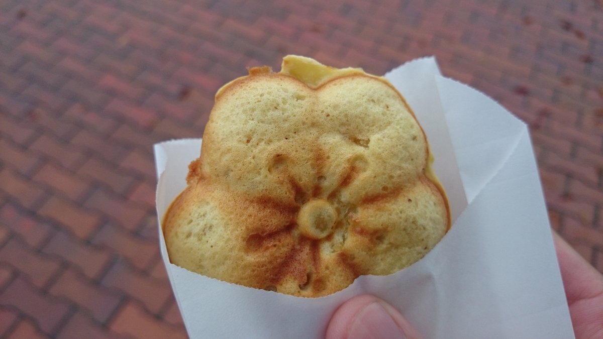 f:id:savarun:20191020134748j:plain