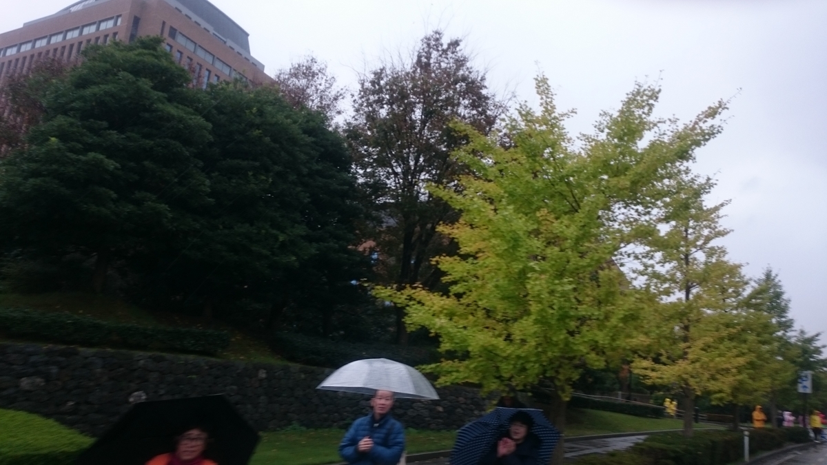 f:id:savarun:20191104211608j:plain f:id:savarun:20191104211608j:plain