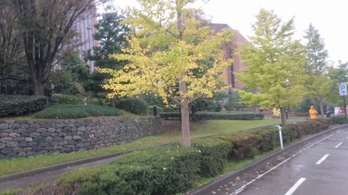 f:id:savarun:20191104211641j:plain f:id:savarun:20191104211641j:plain