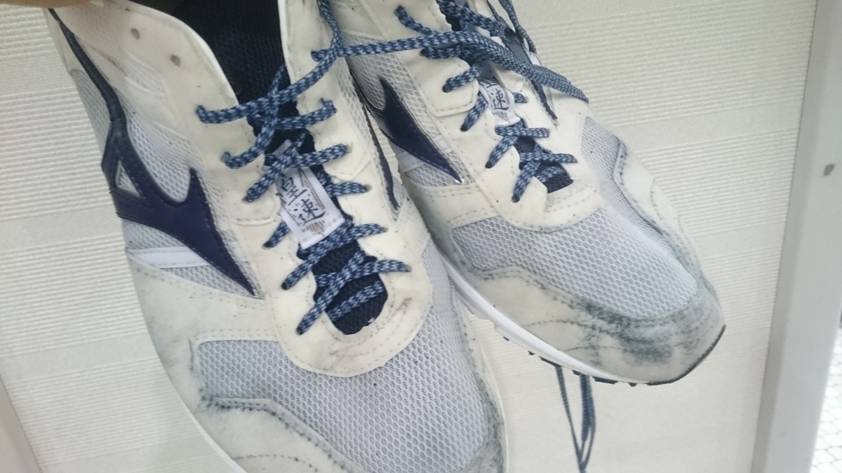 f:id:savarun:20191104212904j:plain f:id:savarun:20191104212904j:plain