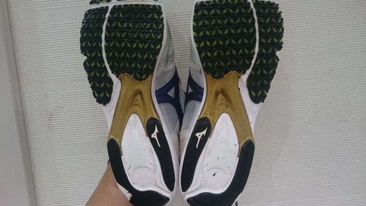 f:id:savarun:20191104212936j:plain f:id:savarun:20191104212936j:plain