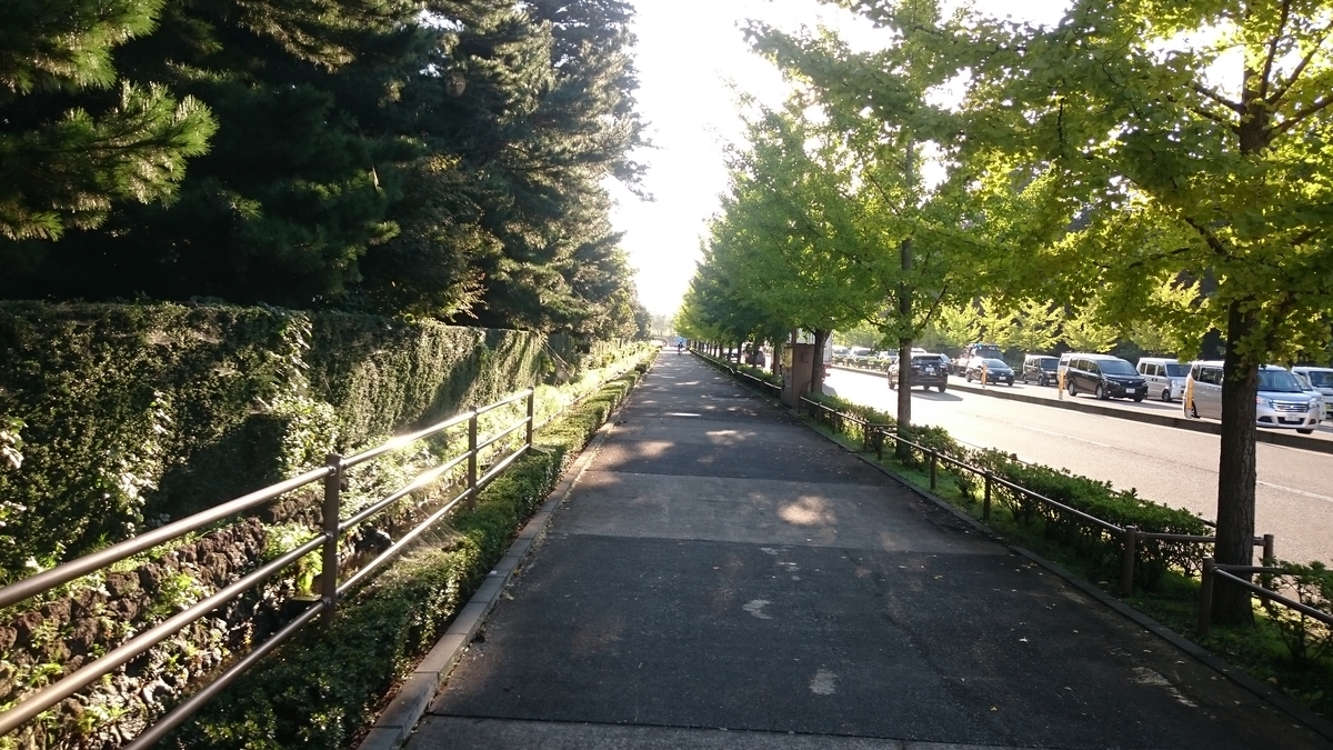 f:id:savarun:20191104215859j:plain f:id:savarun:20191104215859j:plain