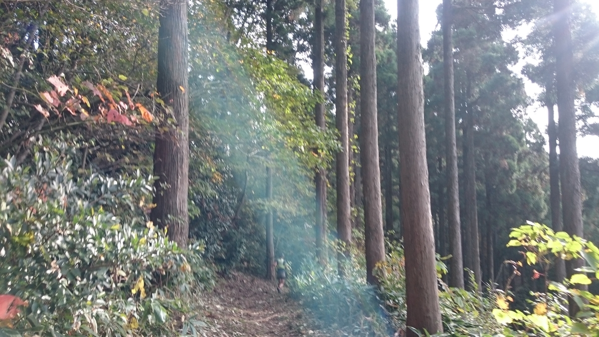 f:id:savarun:20191110084655j:plain f:id:savarun:20191110084655j:plain
