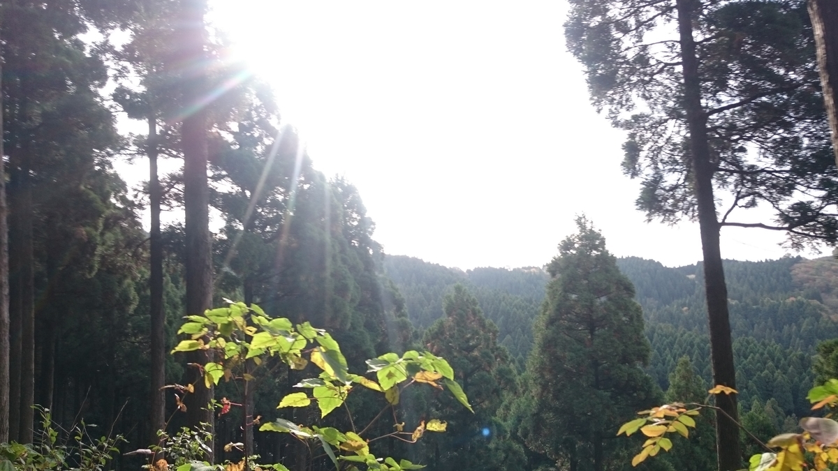 f:id:savarun:20191110084733j:plain f:id:savarun:20191110084733j:plain