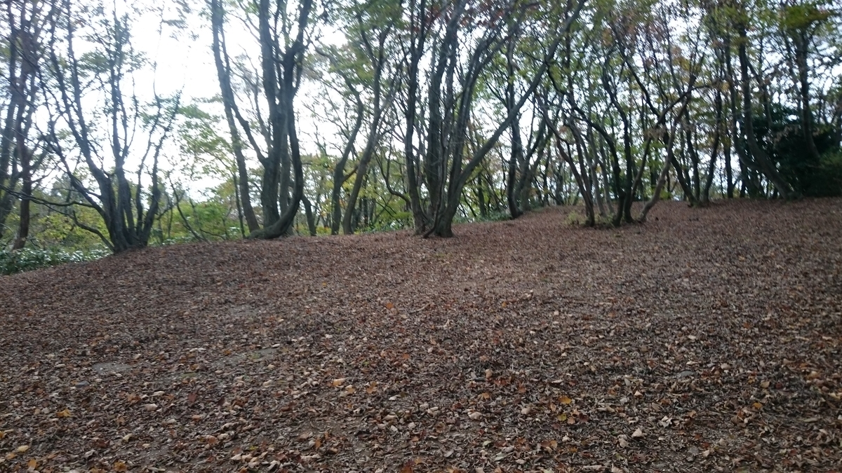 f:id:savarun:20191110090004j:plain f:id:savarun:20191110090004j:plain