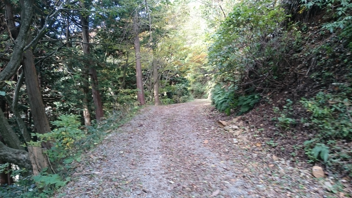 f:id:savarun:20191110091425j:plain f:id:savarun:20191110091425j:plain