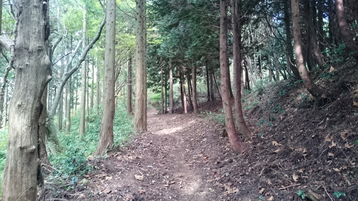 f:id:savarun:20191110091454j:plain f:id:savarun:20191110091454j:plain