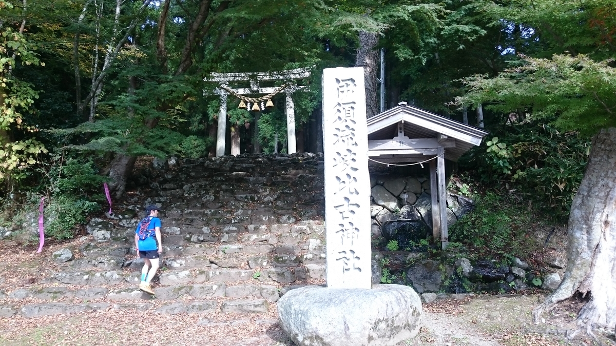 f:id:savarun:20191110092620j:plain f:id:savarun:20191110092620j:plain