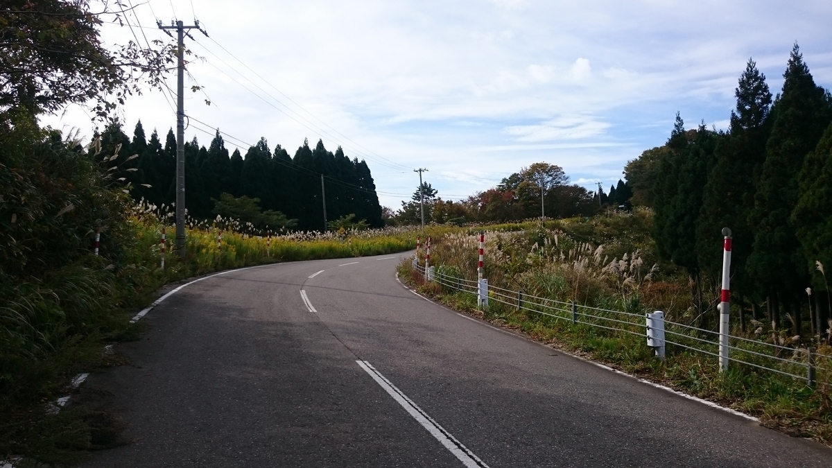 f:id:savarun:20191110092651j:plain f:id:savarun:20191110092651j:plain
